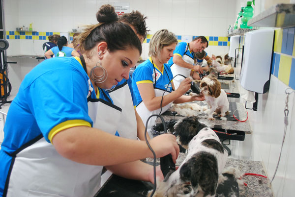 Equipamentos Modernos