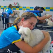 curso-de-banho-e-tosa-ribeirao-preto-11